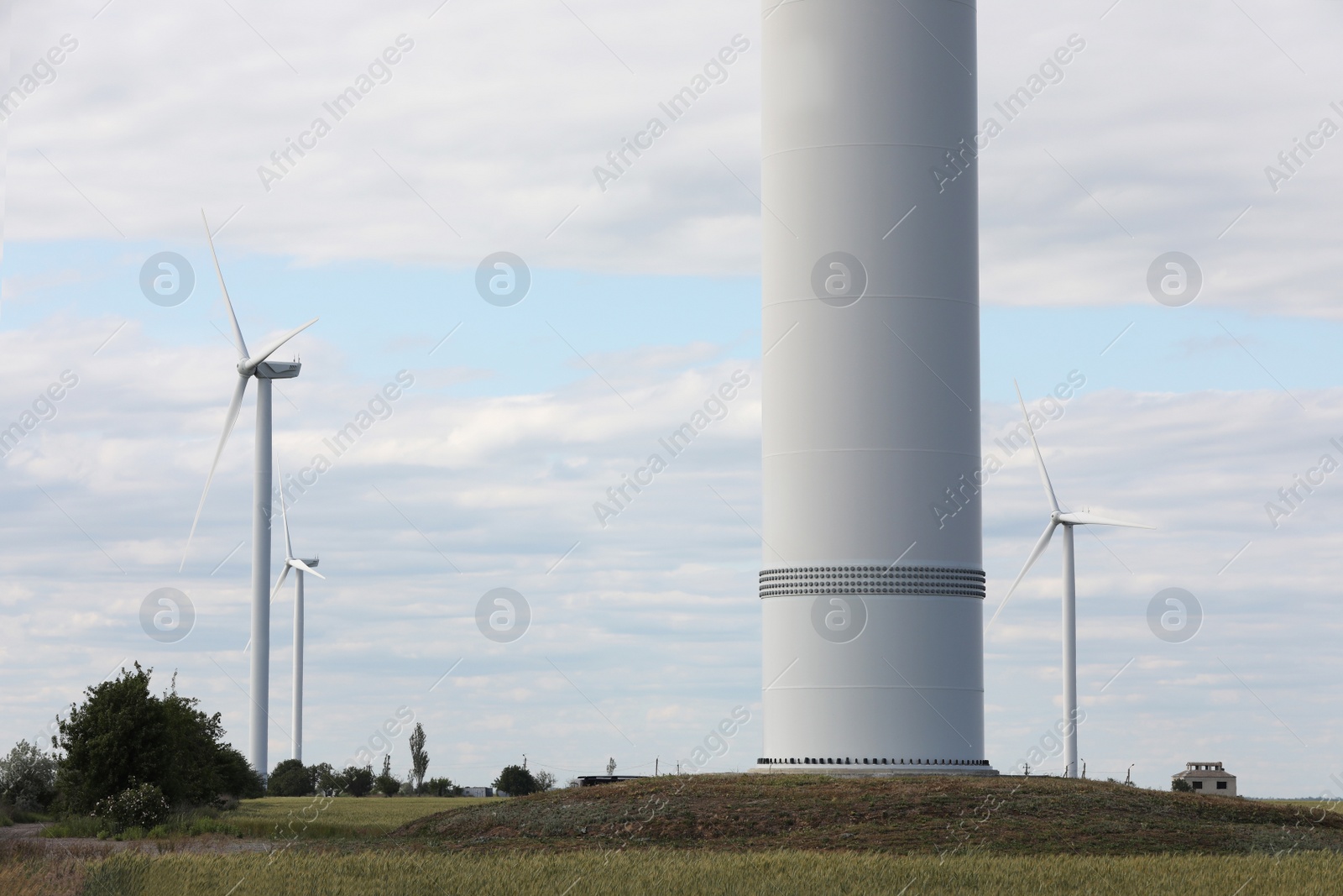 Photo of Beautiful view of field with wind turbines. Alternative energy source