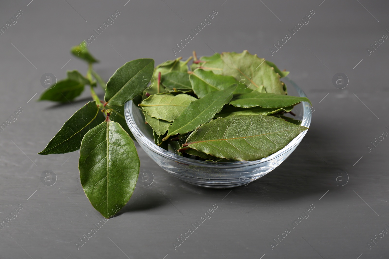 Photo of Fresh green bay leaves in bowl on gray wooden table