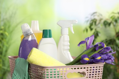 Photo of Plastic basket with cleaning supplies and spring flowers outdoors