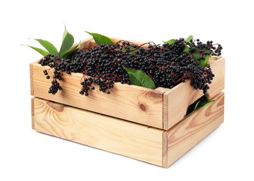 Photo of Crate with ripe elderberries and green leaves isolated on white