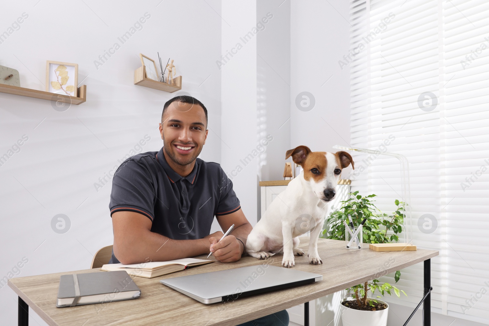 Photo of Young man with Jack Russell Terrier working at desk in home office