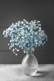 Beautiful dyed gypsophila flowers in glass vase on light grey table