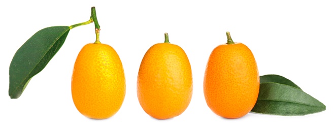 Image of Set with fresh ripe kumquat fruits on white background. Banner design