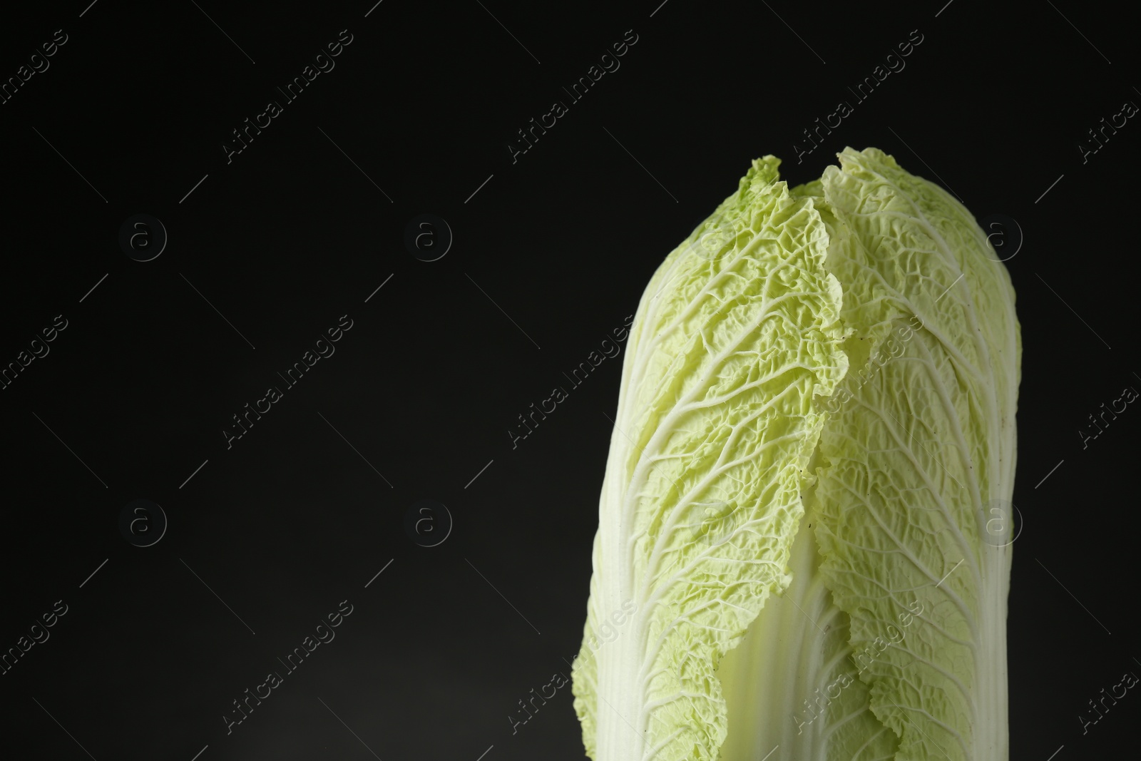 Photo of Fresh ripe Chinese cabbage on black background, space for text