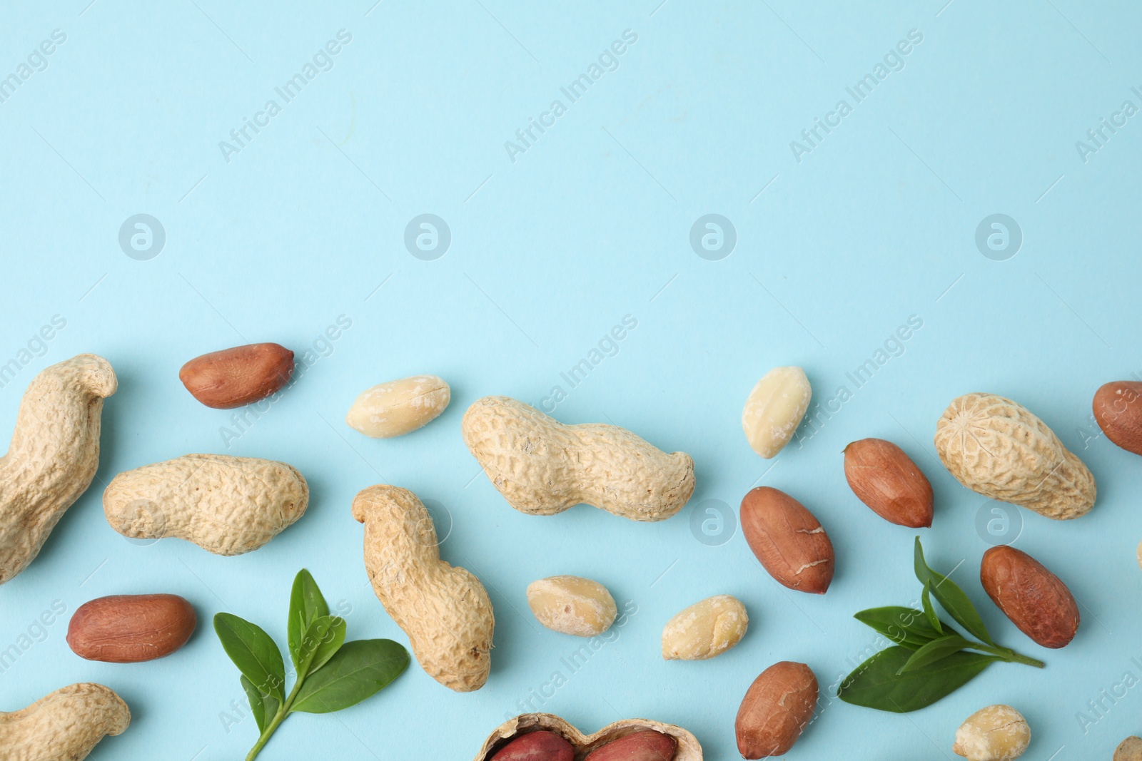 Photo of Fresh peanuts and leaves on light blue table, flat lay. Space for text