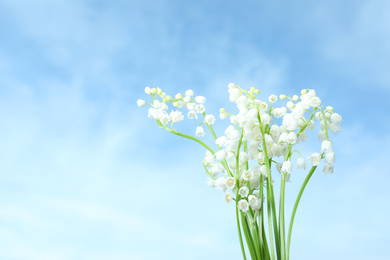 Photo of Beautiful lily of the valley flowers against blue sky, closeup. Space for text