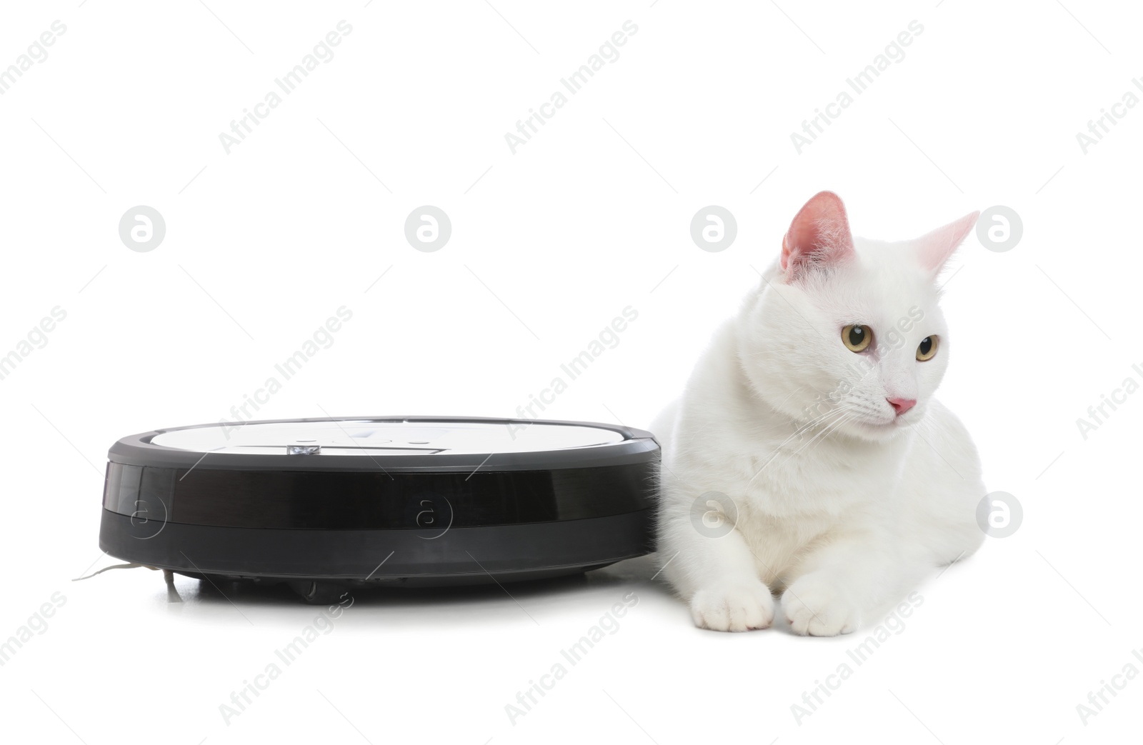 Photo of Modern robotic vacuum cleaner and cute cat on white background