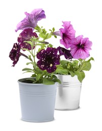 Photo of Beautiful flowers in metal pots isolated on white