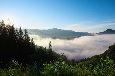 Picturesque view of fog in mountains on sunny day