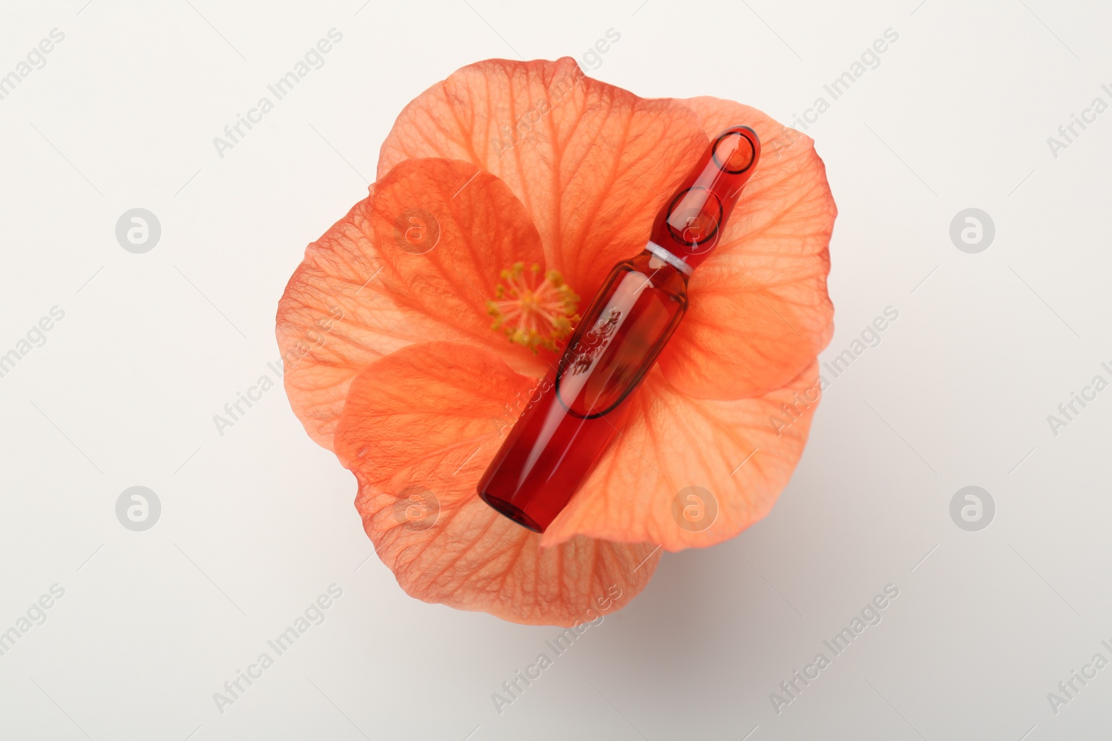 Photo of Skincare ampoules and hibiscus flower on white background, top view