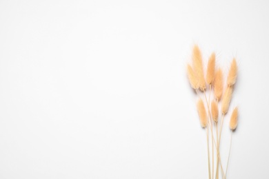 Photo of Bouquet of dried flowers on white background, top view