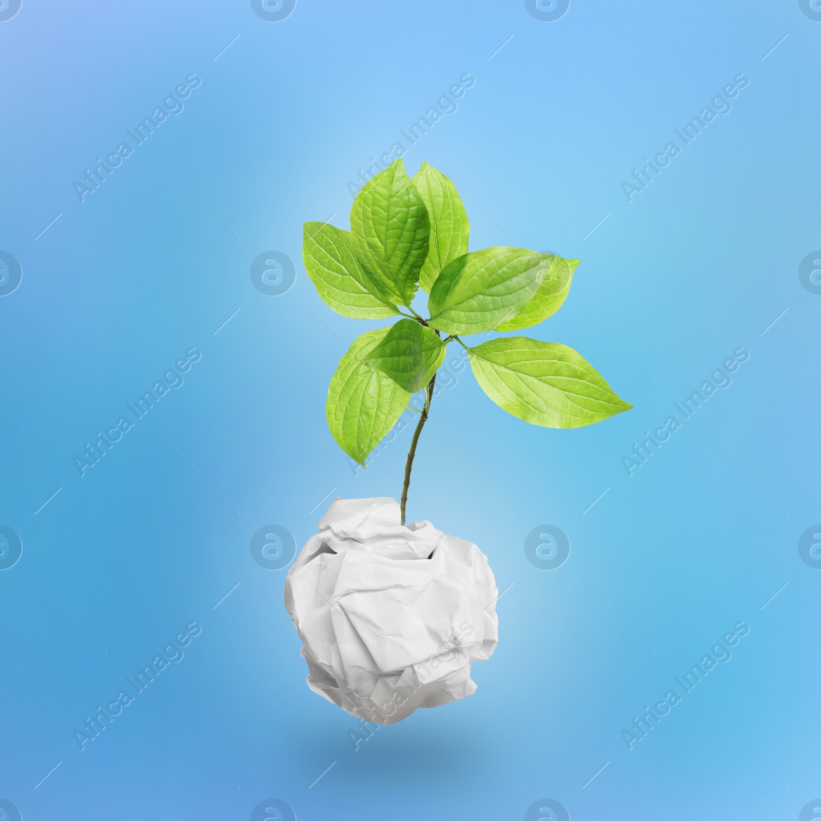 Image of Crumpled sheet of paper on twig with green leaves on light blue background. Recycling concept