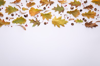 Photo of Flat lay composition with dry autumn leaves on white background, space for text