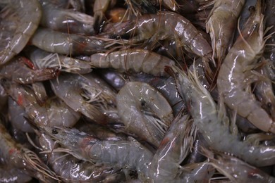 Photo of Many fresh raw shrimps as background, top view