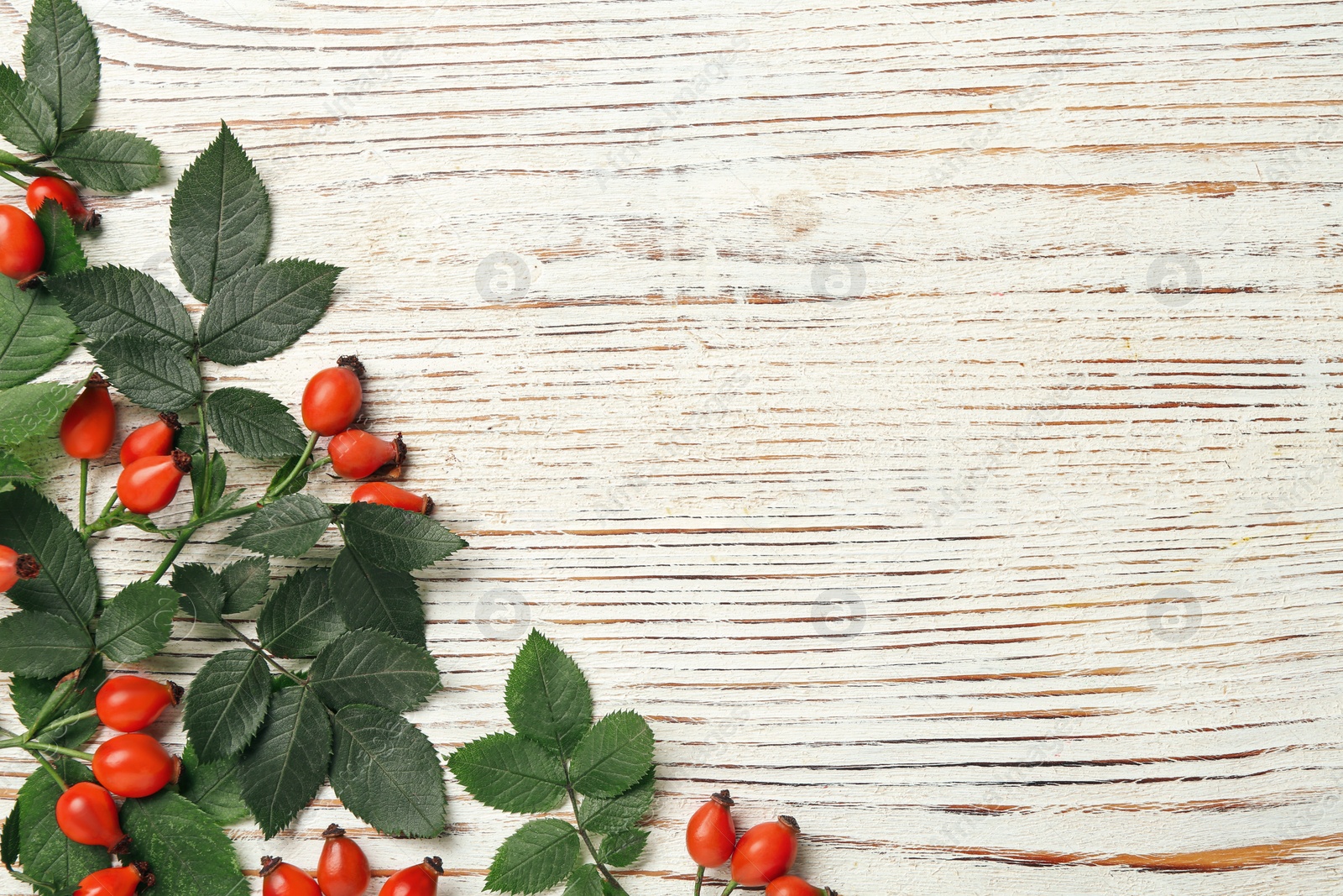 Photo of Ripe rose hip berries with green leaves on white wooden table, flat lay. Space for text