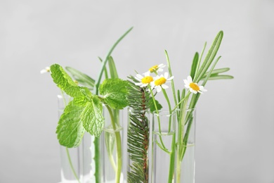 Test tubes of different essential oils with plants against light background, closeup