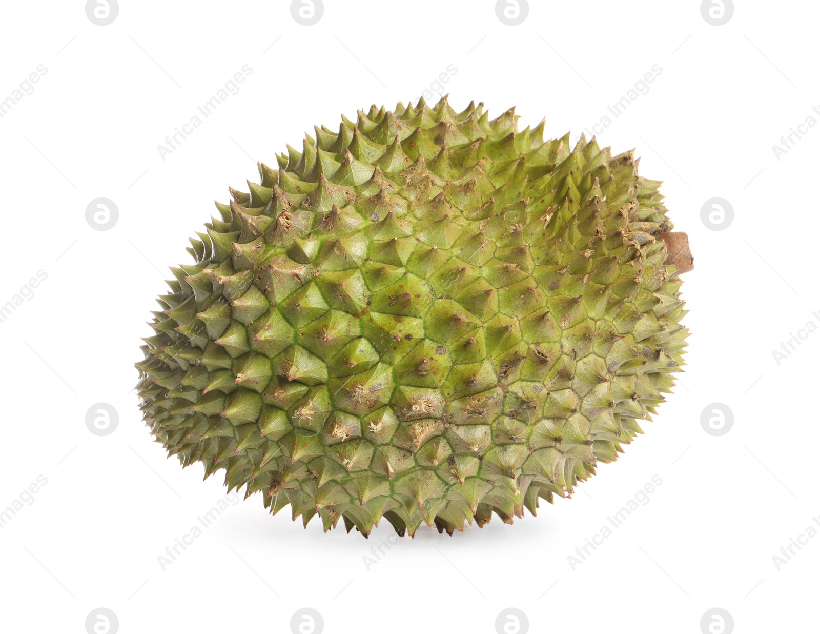 Photo of One whole ripe durian isolated on white