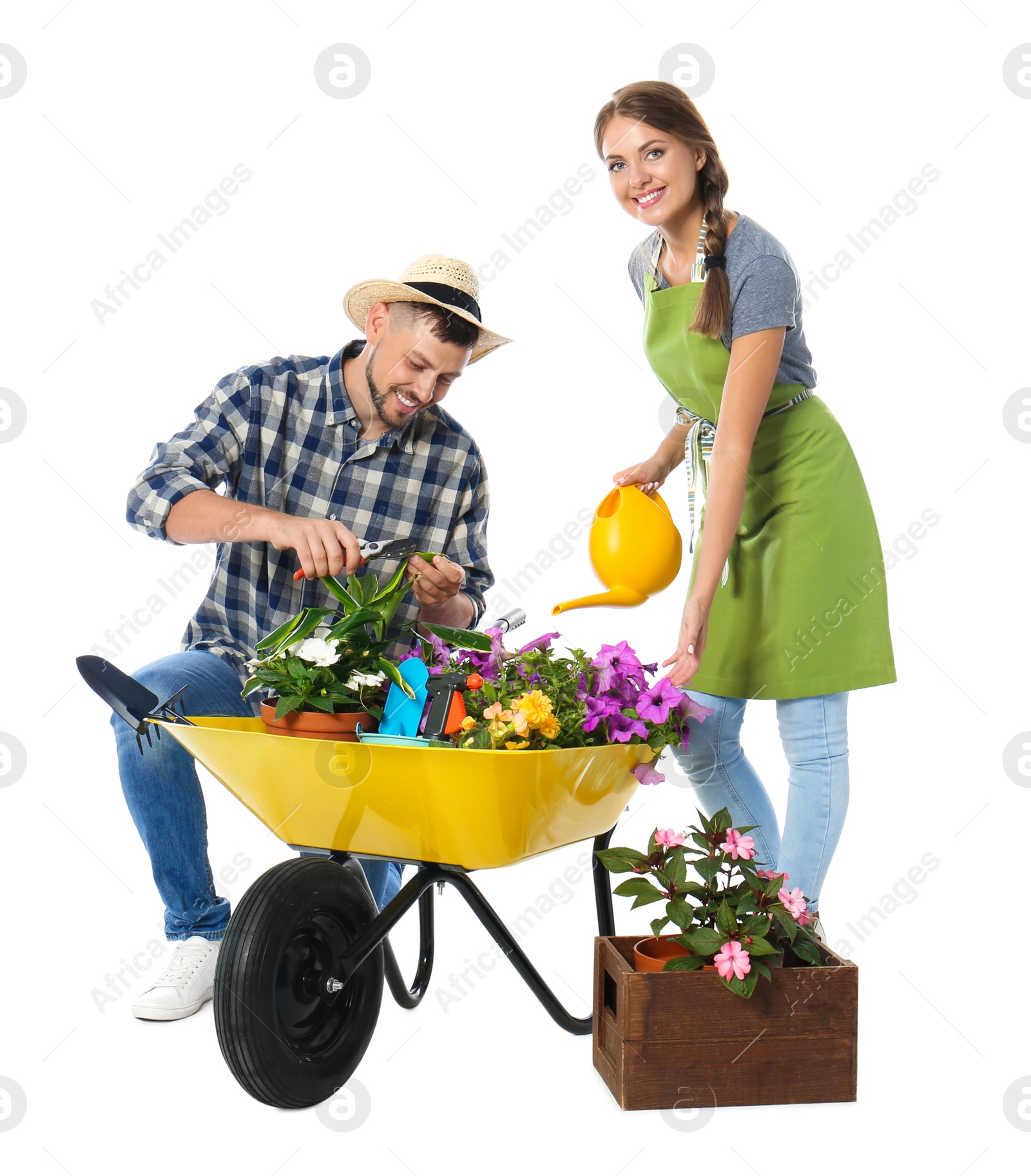 Photo of Couple of gardeners with wheelbarrow and plants on white background