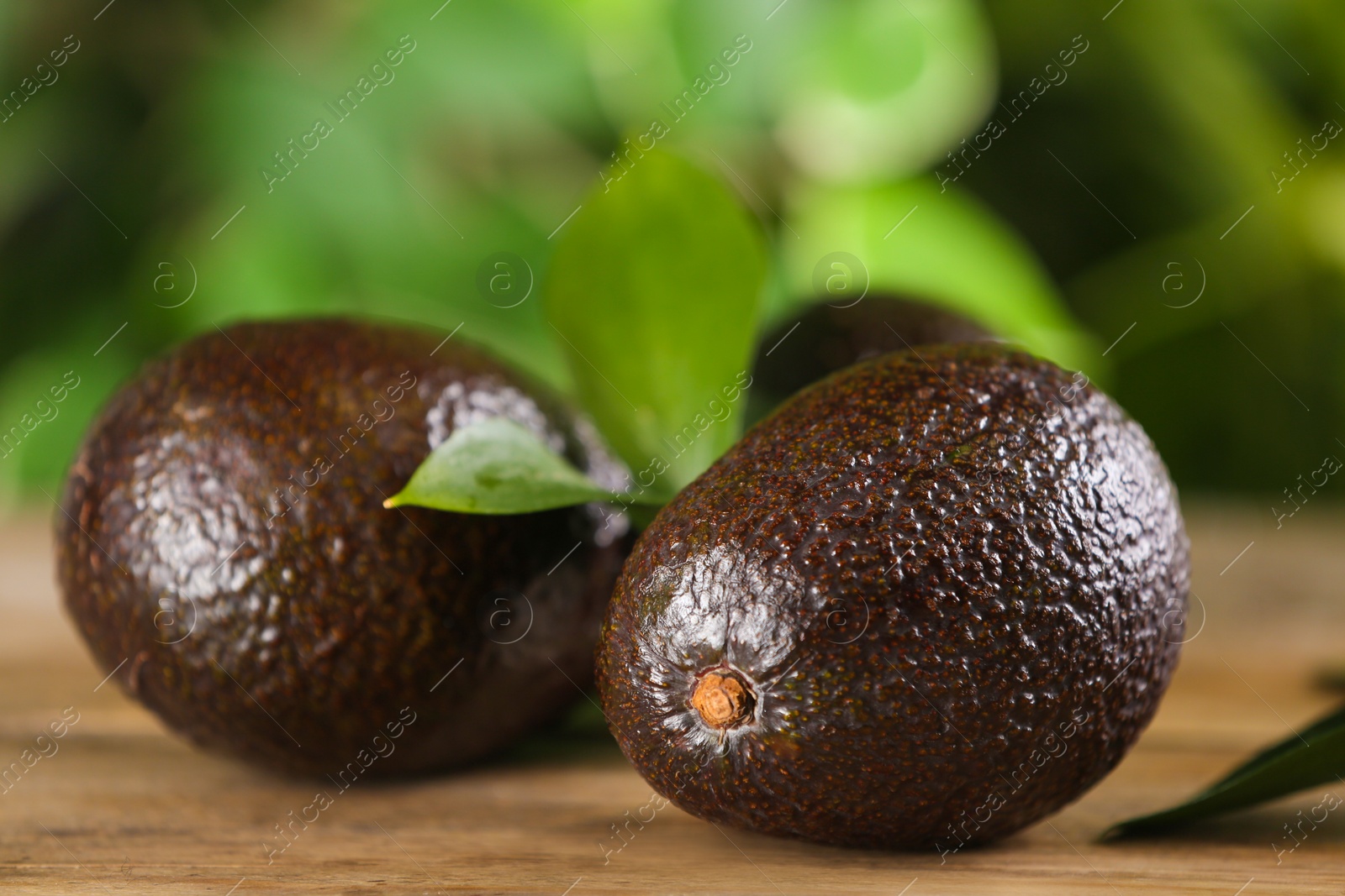 Photo of Whole avocados with green leaf on wooden table, closeup
