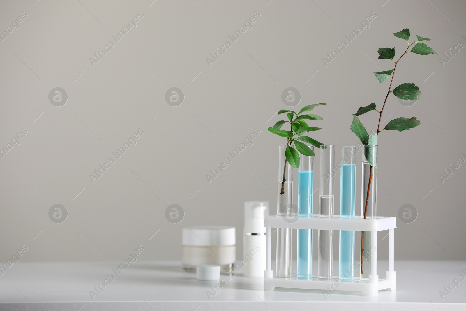 Photo of Many containers and glass tubes with leaves on white table against light grey background, space for text