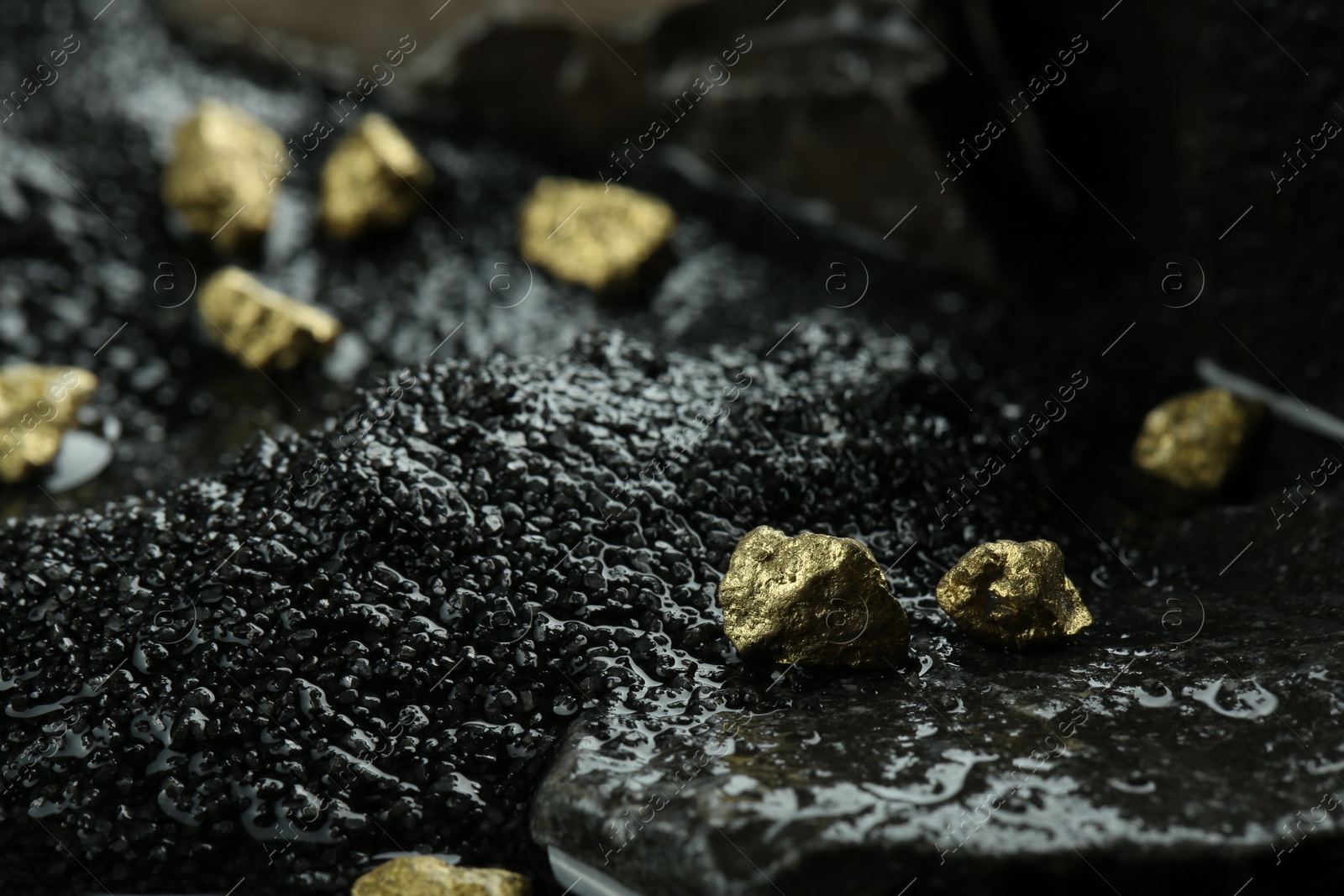 Photo of Many shiny gold nuggets on wet stones