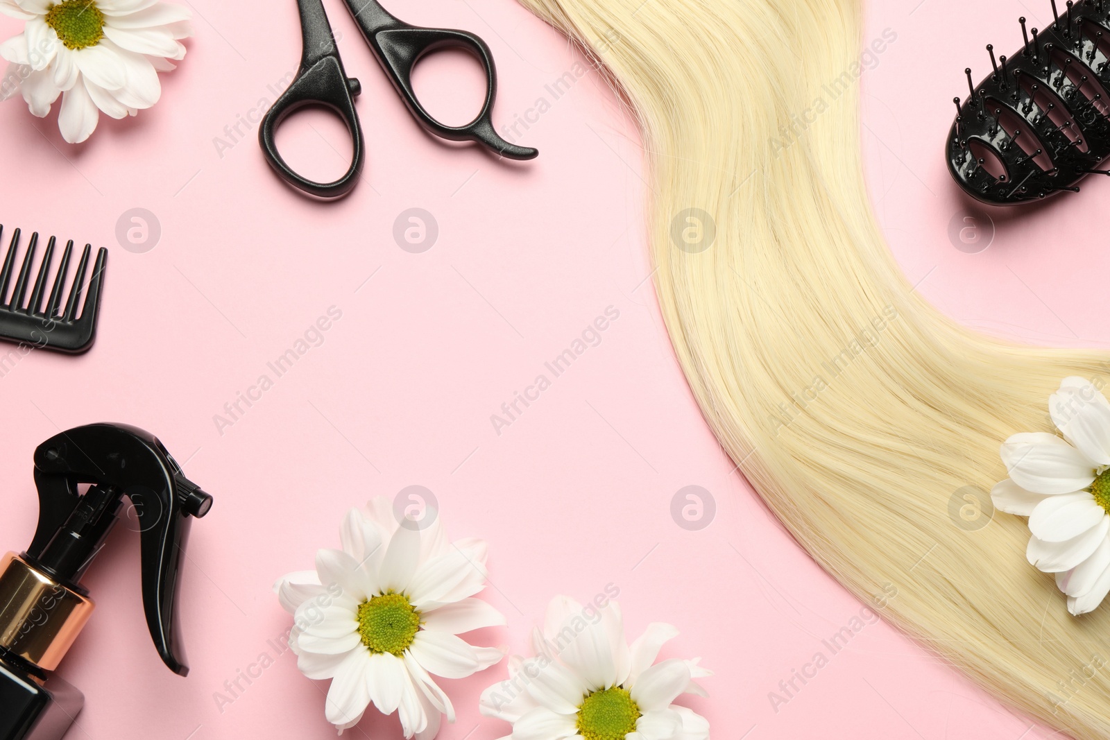 Photo of Flat lay composition with different hairdresser tools and flowers on pink background, space for text