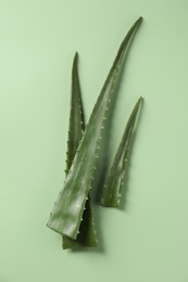 Photo of Fresh aloe vera leaves on light green background, flat lay