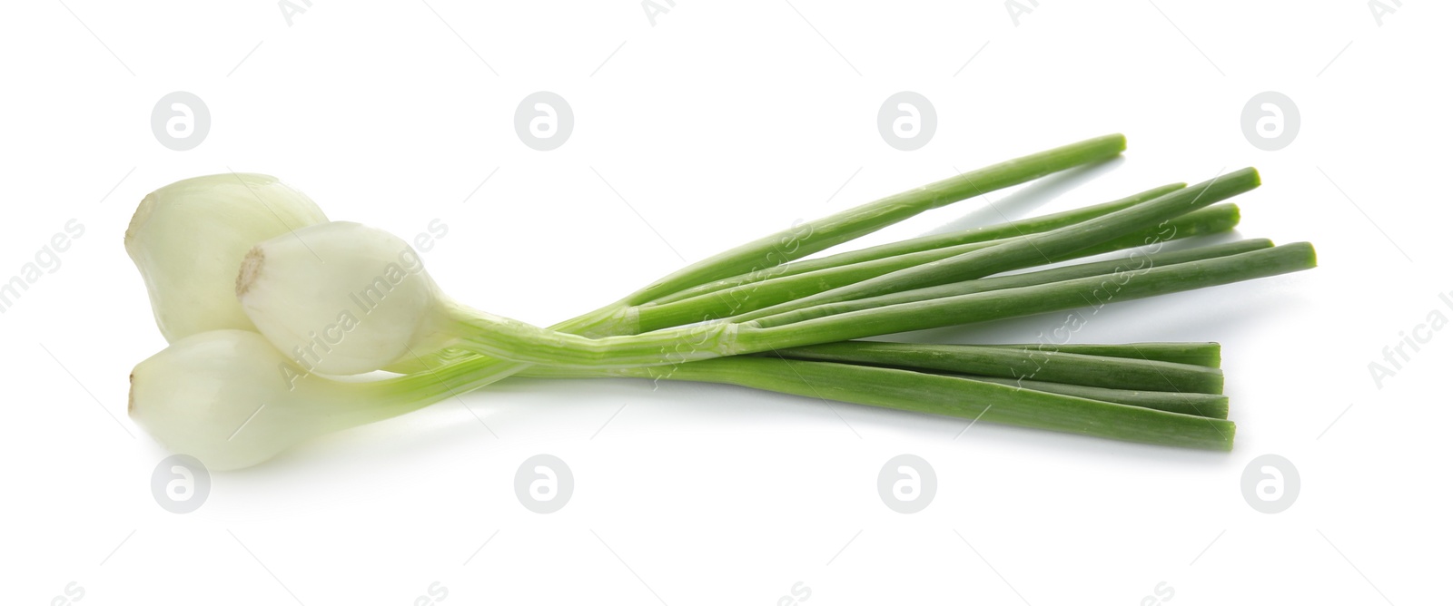 Photo of Fresh green onion on white background