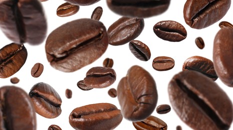 Roasted coffee beans falling o white background