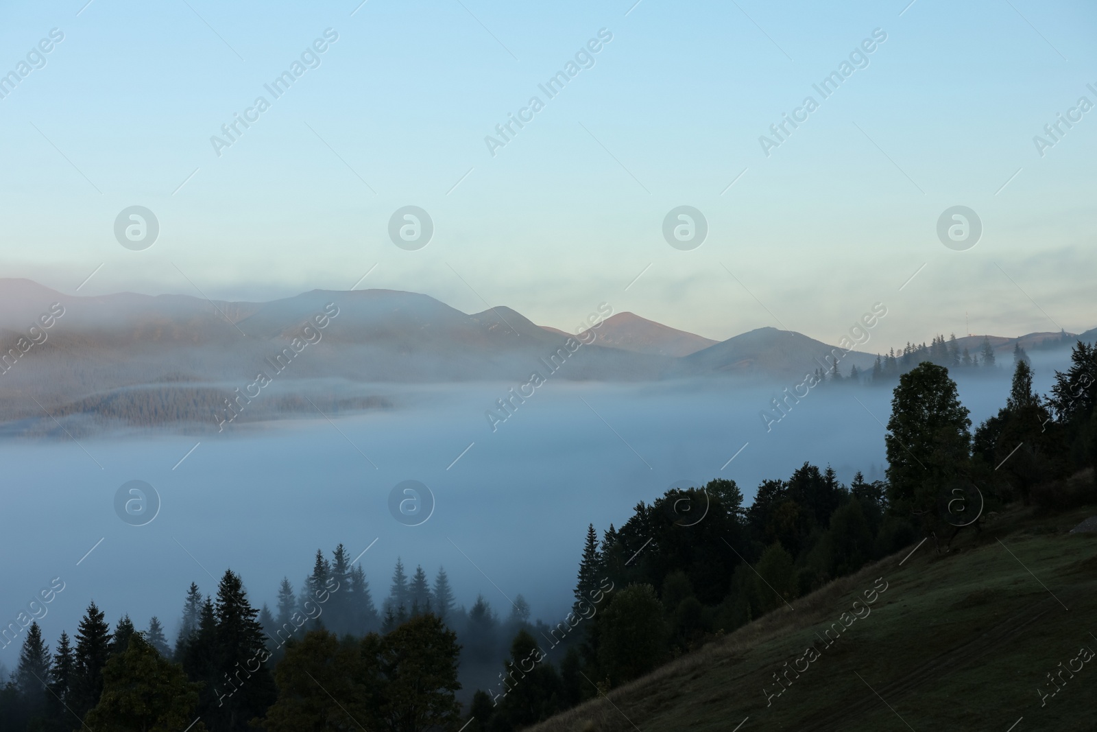 Photo of Beautiful mountain landscape with forest and thick mist. Drone photography