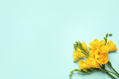 Photo of Beautiful blooming yellow freesias on light background, top view. Space for text