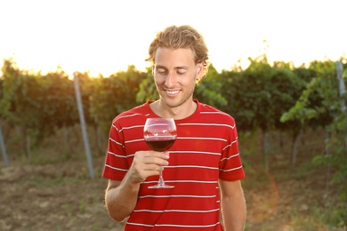 Photo of Young handsome man enjoying wine at vineyard on sunny day