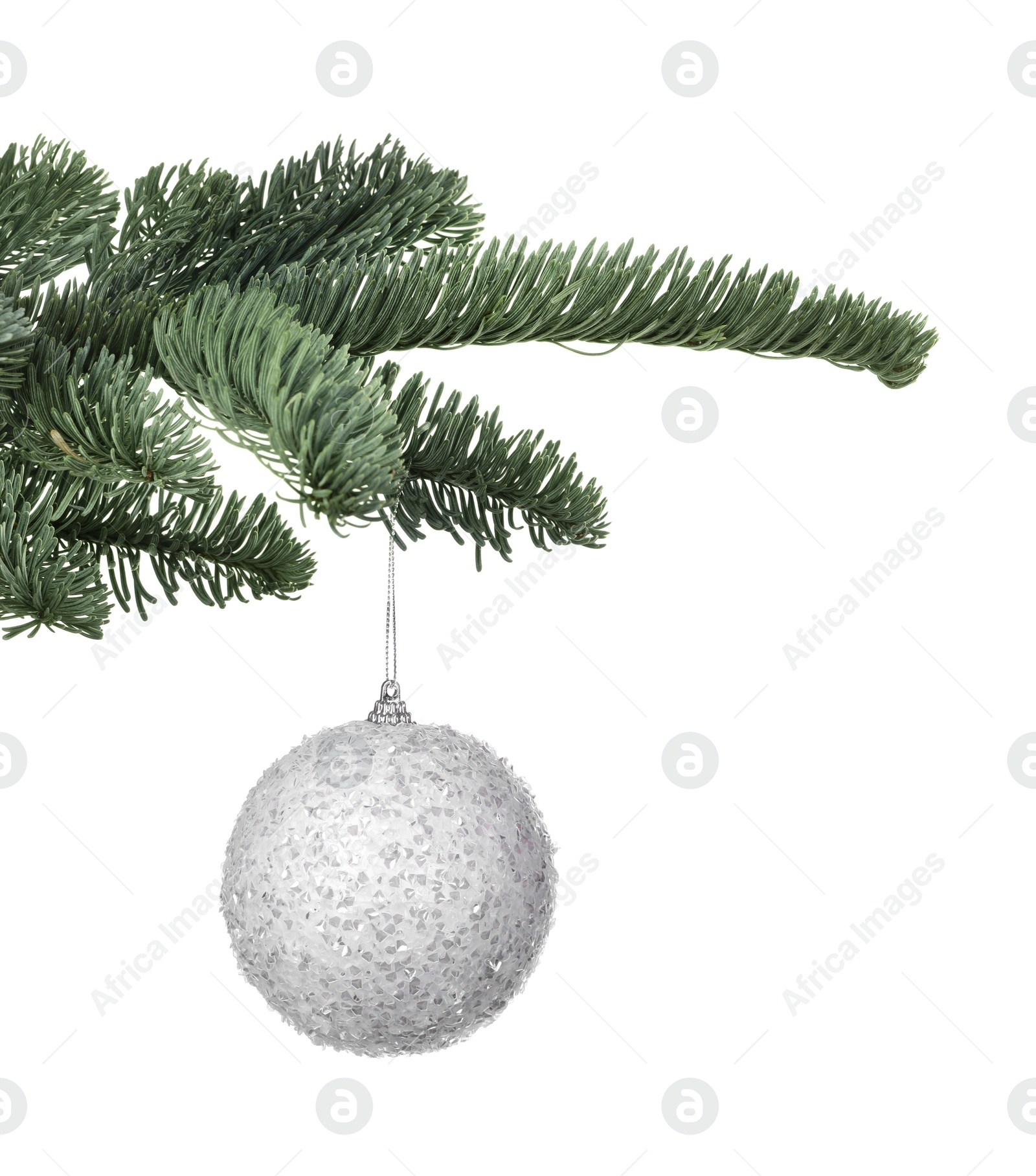 Photo of Fir tree branch with Christmas ball on white background