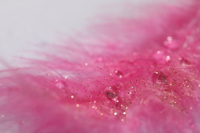 Closeup view of beautiful feather with dew drops and glitter on white background