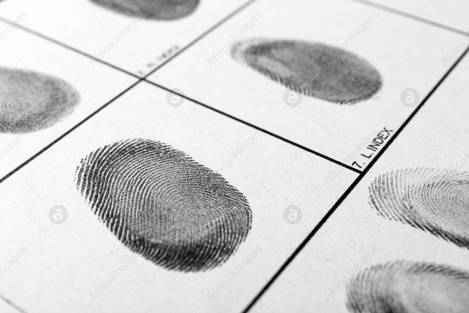 Photo of Police form with fingerprints, closeup. Forensic examination