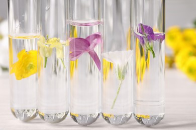 Photo of Test tubes with different flowers on table, closeup. Essential oil extraction