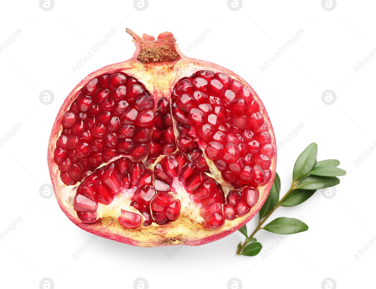 Photo of Half of fresh pomegranate and branch isolated on white, top view