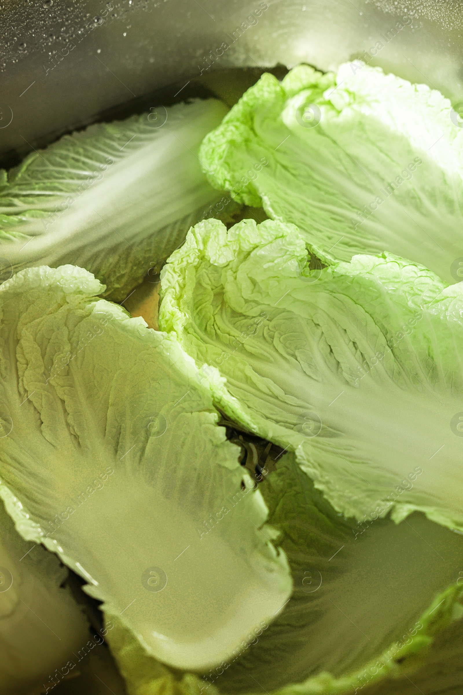 Photo of Chinese cabbage leaves in water inside sink, closeup