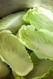 Photo of Chinese cabbage leaves in water inside sink, closeup