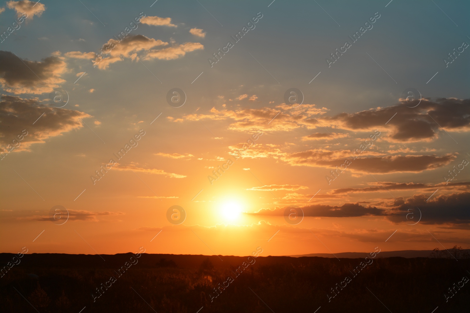 Photo of Picturesque view of beautiful field at sunset