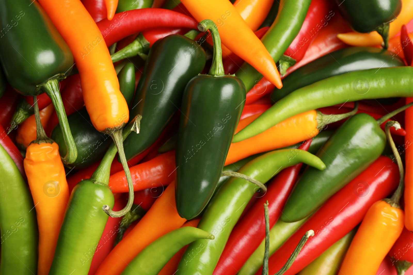 Photo of Different ripe chili peppers as background, top view