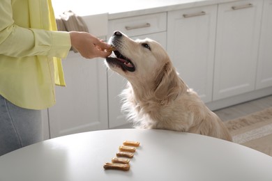 Photo of Owner giving dog biscuit to cute Golden Retriever in kitchen, closeup