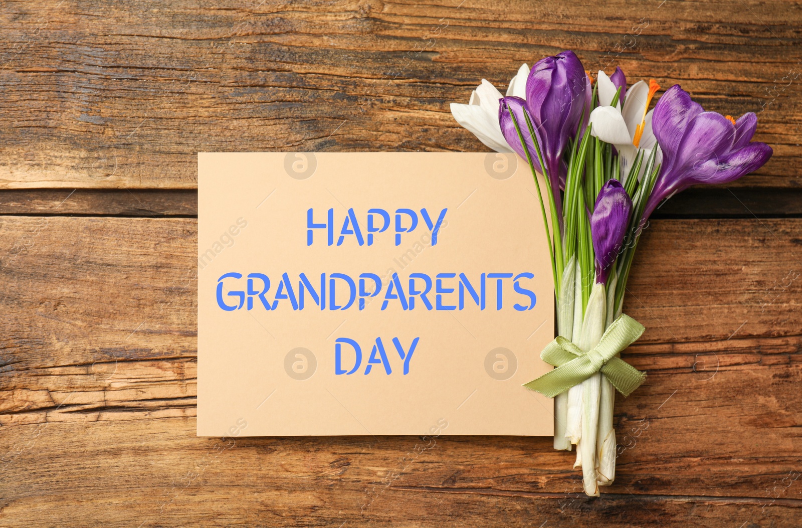 Image of Beautiful spring crocus flowers and phrase HAPPY GRANDPARENTS DAY on wooden table, flat lay