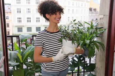 Happy young woman holding pot with beautiful Ficus benjamina plant on balcony