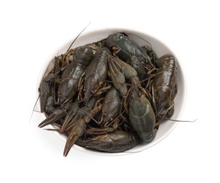 Photo of Fresh raw crayfishes in bowl on white background
