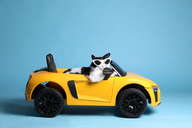 Photo of Funny cat with sunglasses in toy car on light blue background