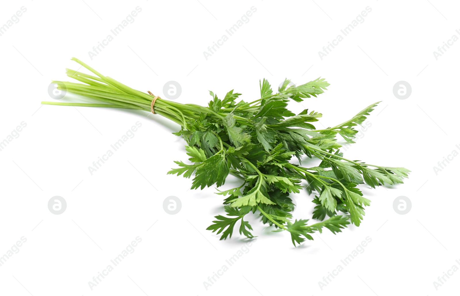 Photo of Bunch of fresh parsley isolated on white