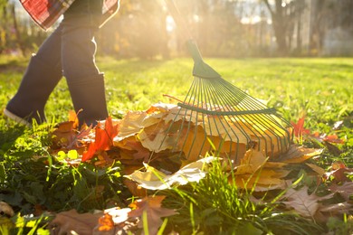 Woman raking fall leaves in park, closeup