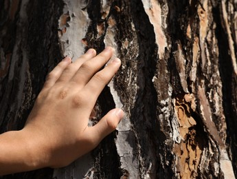 Photo of Boy touching tree trunk outdoors on sunny day, closeup