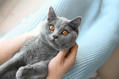 Man with cute grey cat, closeup view